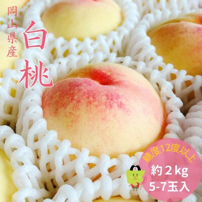 【2027年発送】白桃 特秀 ロイヤル 大玉 約2kg 5-7玉　土-16