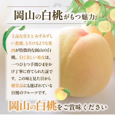 白桃 特秀 ロイヤル 大玉 約2kg 5-7玉　rr-101