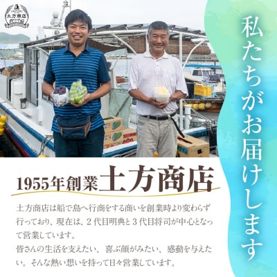 白桃 特秀 ロイヤル 大玉 約2kg 5-7玉　rr-101