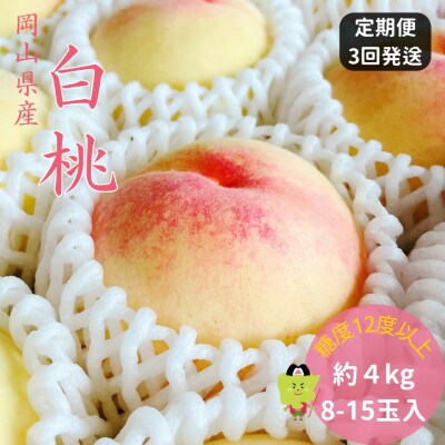 白桃 特秀 ロイヤル 大玉 定期便 約4kg 3回発送　土-20