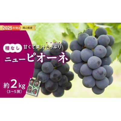 ぶどう ニューピオーネ 秀品 約2kg 3-5房　gg-104