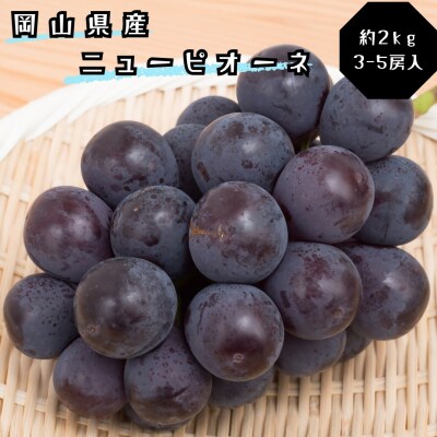 ぶどう ニューピオーネ 秀品 約2kg 3-5房　土-31