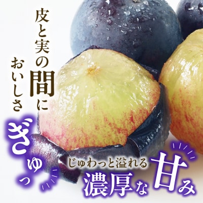ぶどう ニューピオーネ 秀品 約2kg 3-5房　gg-104