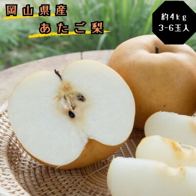 梨 あたご梨  秀品 約4kg　土-32