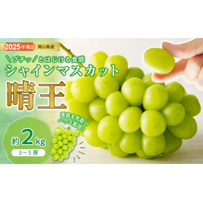 シャインマスカット 晴王 ハウス栽培 約2kg　Fg-9