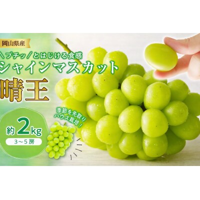 シャインマスカット 晴王 ハウス栽培 約2kg　土-23