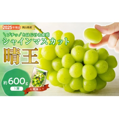 シャインマスカット 晴王 秀品 約600g 1房　yy-36