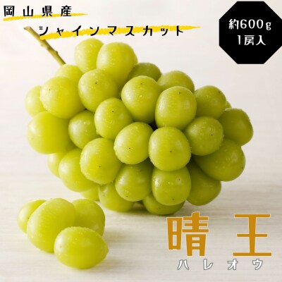 シャインマスカット 晴王 秀品 約600g 1房　土-24