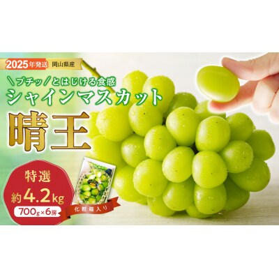 シャインマスカット 晴王 特選 大房 約700g 6房　Te-5