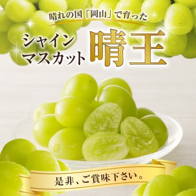 シャインマスカット 晴王 特選 大房 約700g 6房　土-26