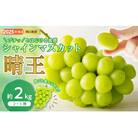 シャインマスカット 晴王 秀品 大房 約2kg 2-5房　hh-106
