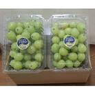 シャインマスカット　粒パック　1.2kg　(家庭用)　CC-124