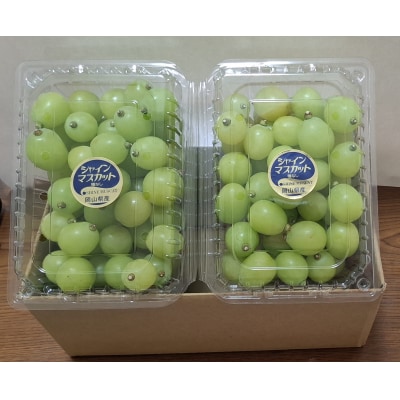 シャインマスカット　粒パック　1.2kg　(家庭用)　CC-124