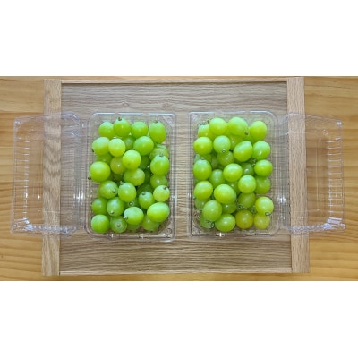 シャインマスカット　粒パック　1.2kg　(家庭用)　CC-124