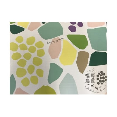 【贈答用】　岡山のあま～い「シャインマスカット」約2kg(3～4房)FF-45