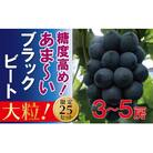 福原農園　岡山のあまーいブラックビート約2kg(3～5房)EE-70