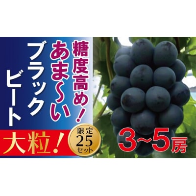 福原農園　岡山のあまーいブラックビート約2kg(3～5房)EE-70