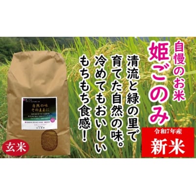 Gf-1　米　おいしいお米　姫ごのみ(玄米)20kg