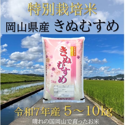 【お米　特別栽培米　特Aランク】岡山県産「きぬむすめ」5kg(令和7年産)UU-11