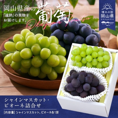 【令和8年発送】シャインマスカット・ピオーネ詰合せ　CS-13