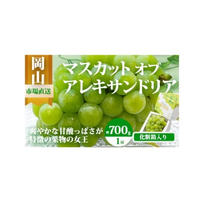 【令和8年発送・先行予約】岡山県産　マスカットオブアレキサンドリア　1房　CS-12