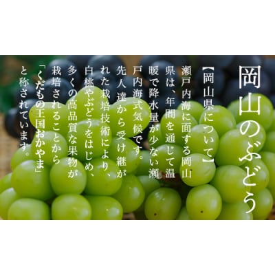 【令和8年発送・先行予約】岡山県産　マスカットオブアレキサンドリア　1房　CS-12