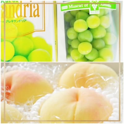 【令和8年発送・先行受付】フルーツ定期便5回コースB JZ-1