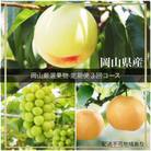 【令和8年発送・先行受付】岡山県産　晴れの国岡山フルーツ7月9月11月定期便3回　GH-6