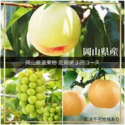 【令和8年発送・先行受付】岡山県産　晴れの国岡山フルーツ7月9月11月定期便3回　GH-6