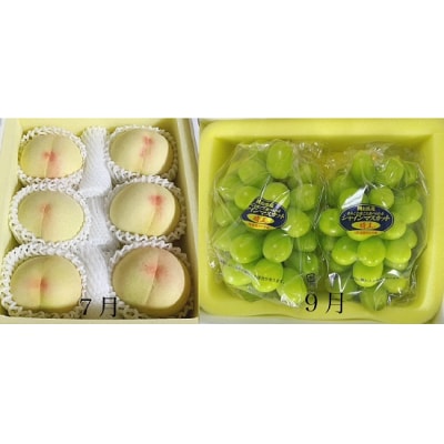 【令和8年発送・先行受付】岡山県産　晴れの国岡山フルーツ7月9月11月定期便3回　GH-6