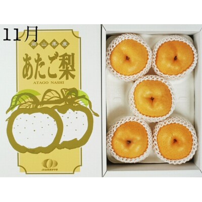 【令和8年発送・先行受付】岡山県産　晴れの国岡山フルーツ7月9月11月定期便3回　GH-6