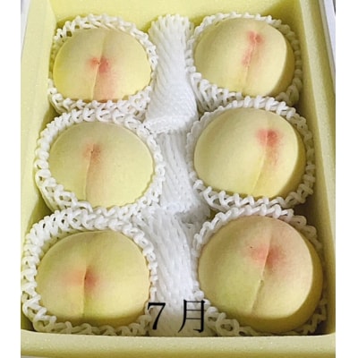 【令和8年発送・先行受付】岡山県産　晴れの国岡山フルーツ7月8月定期便2回　GT-1