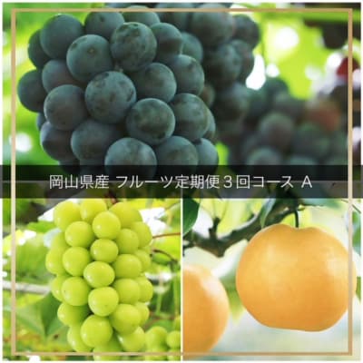 【令和8年発送・先行受付】フルーツ定期便　全3回コースA　vv-109
