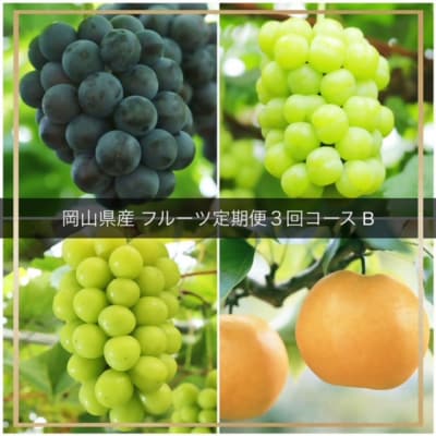 【令和8年発送・先行受付】フルーツ定期便　全3回コースB vv-110