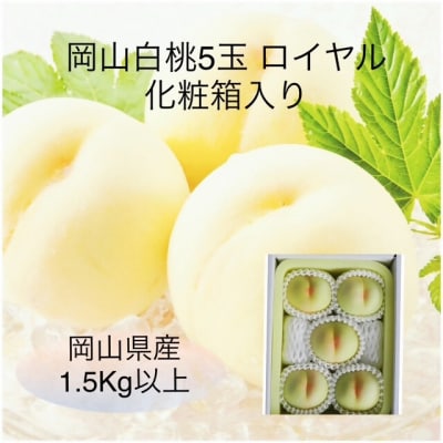 【令和8年発送・先行予約】岡山県産　白桃5玉(合計1.5kg以上)VT-1