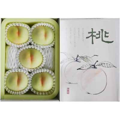 【令和8年発送・先行予約】岡山県産　白桃5玉(合計1.5kg以上)VT-1