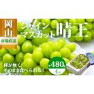【令和8年発送・先行受付】岡山県産　シャインマスカット　4房　XX-3