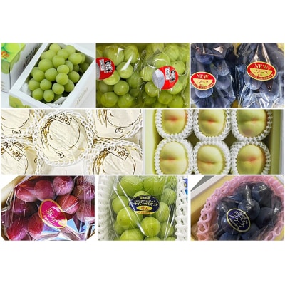 【令和8年発送・先行受付】岡山のフルーツまるごと全部お届け全10回定期便　Bm-1