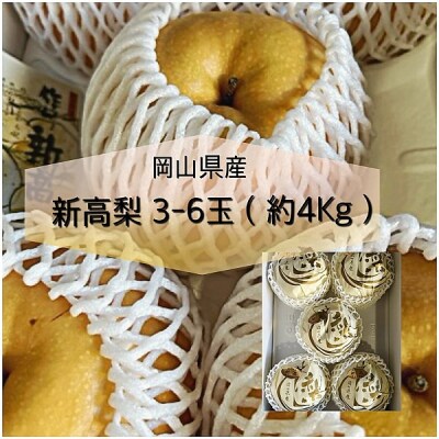 【令和8年発送・先行予約】岡山県産 新高梨 3-6玉(約4kg) aa-107