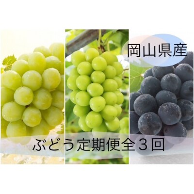 【令和8年発送・先行受付】ぶどうの定期便全3回　Ga-1
