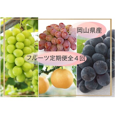 【令和8年発送・先行受付】フルーツ定期便全4回　vz-1