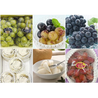 【令和8年発送・先行受付】フルーツ定期便全4回　vz-1