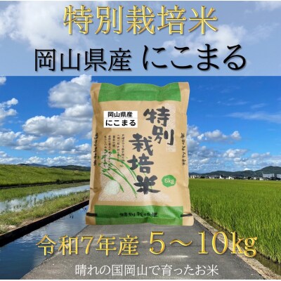 【お米　特別栽培米】岡山県産「にこまる」5kg(令和7年産)DD-90