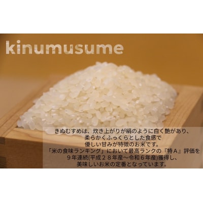 【お米　特別栽培米　特Aランク】岡山県産「きぬむすめ」10kg(令和7年産)Ef-5