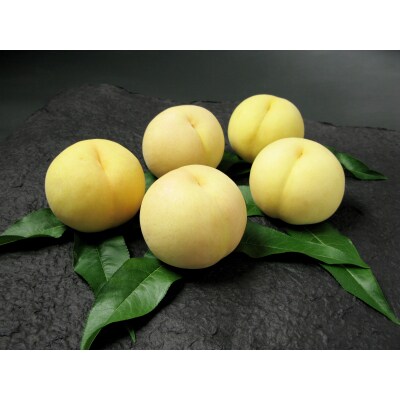【先行予約】岡山県産　清水白桃　5～7玉(約1.5kg)環-3