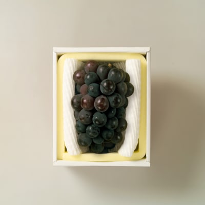 【先行予約】岡山県産　秋のニューピオーネ(約600g)環-9