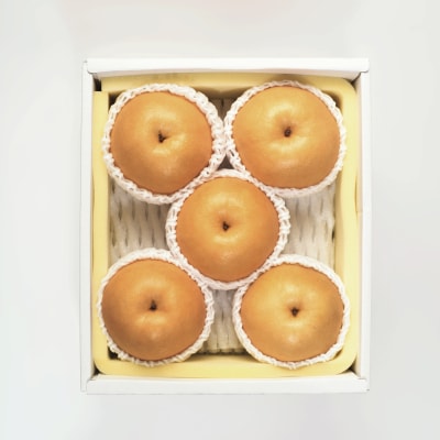 【先行予約】　岡山県産　新高梨　5～6玉(約2.5kg)環-15