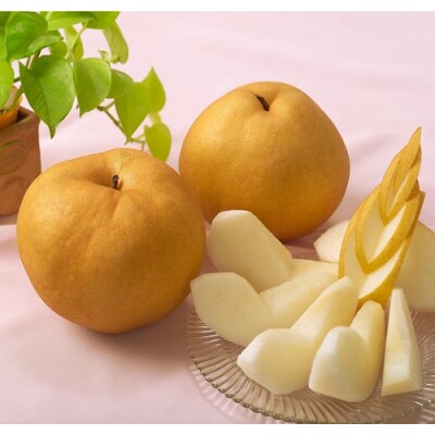 【先行予約】　岡山県産　あたご梨　2玉(約1.8kg)環-16