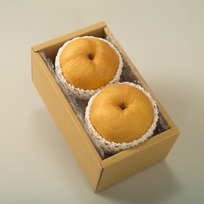 【先行予約】　岡山県産　あたご梨　2玉(約1.8kg)環-16