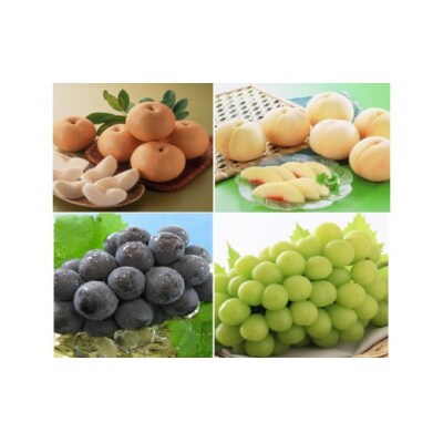 【先行予約】岡山県産　旬のくだもの定期便　3回　環-17